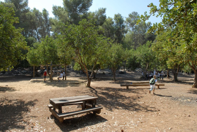 פארק בריטניה