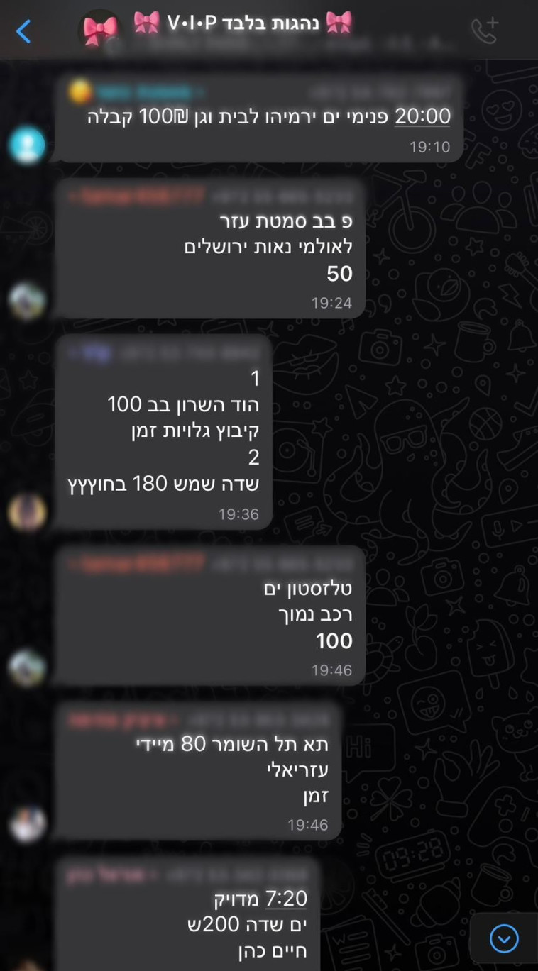 כך עובדת מערכת הדרייברים בישראל - קבוצת הנהגות לנשים בלבד (צילום: מעריב אונליין)