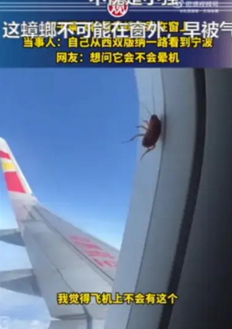 ג'וק שרד בטיסת פנים בסין במשך שעתיים ו-40 דקות (צילום: מתוך יוטיוב)