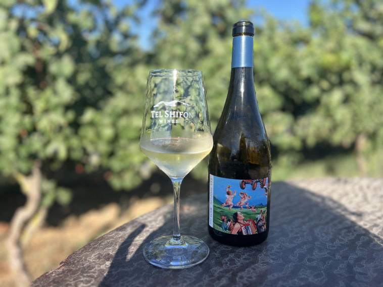 יקב תל שיפון