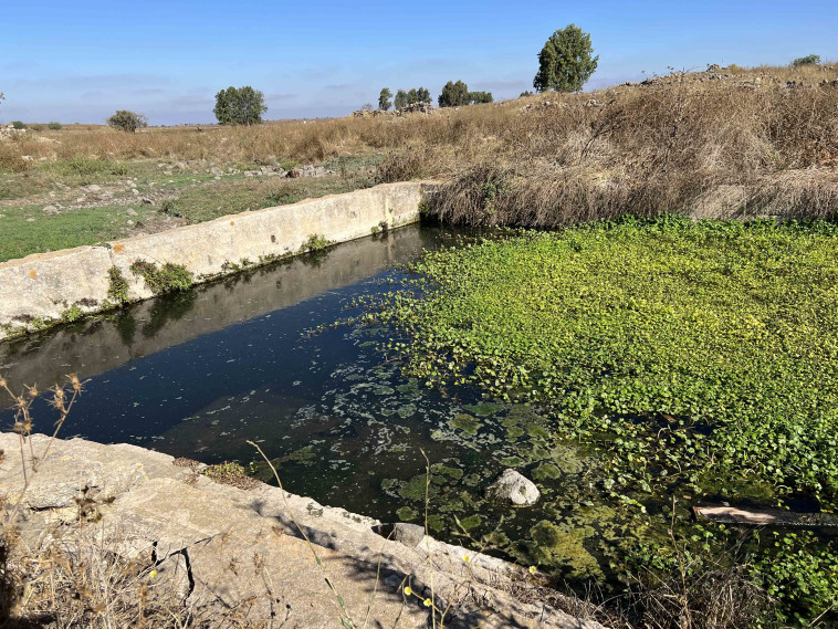 עוצרים בנקודות מים על הדרך