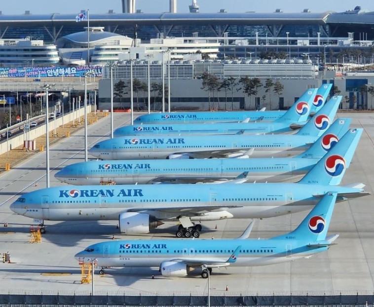 מטוסים של חברת ''קוריאן אייר'' בסיאול (צילום: צילום מסך אינסטגרם)