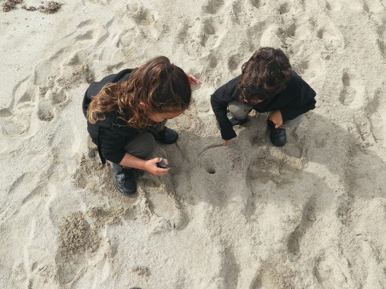 גן צדף גן ים 