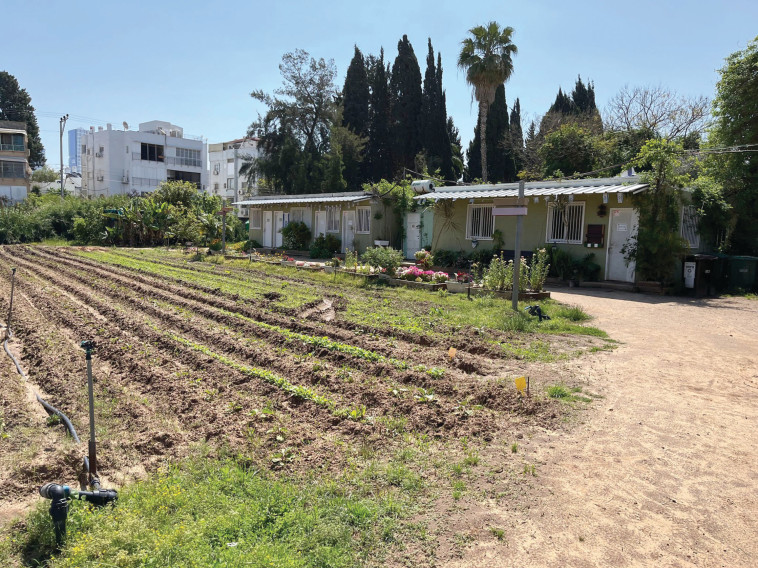 בית ספר מרחב בתל אביב