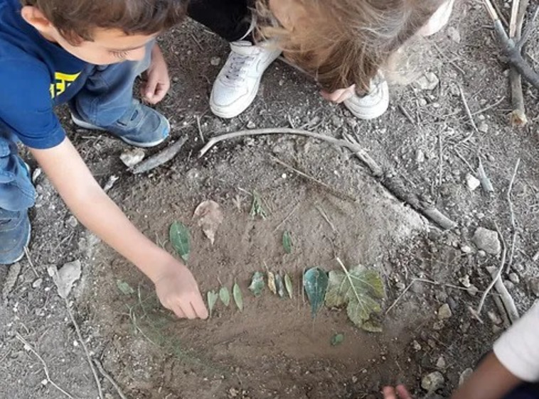 בית חינוך יער גבעת גונן 