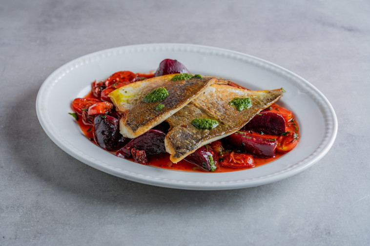 פילה אניסטו, פאט ויני