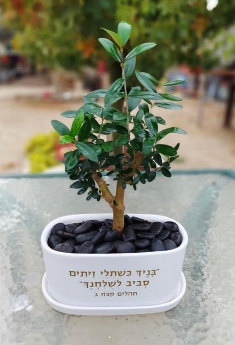 עציצים מושלמים עם כיתוב אישי - תכירו את משתלת חדווה בכפר!