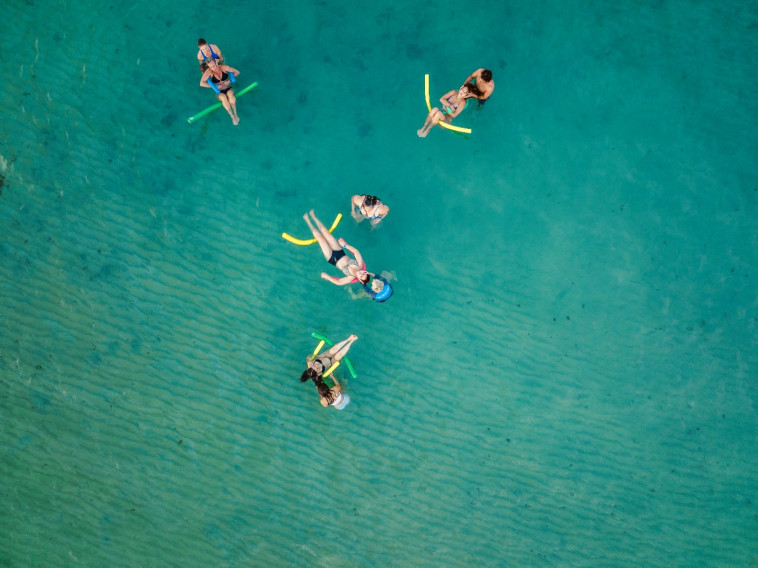 פסטיבל WELLFEST