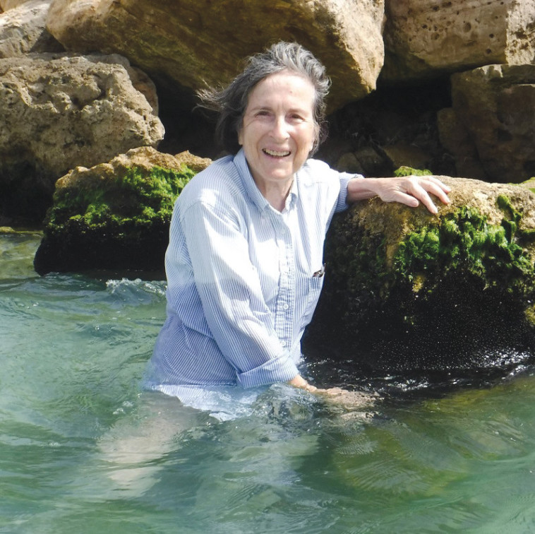 פרופ' בלה גליל