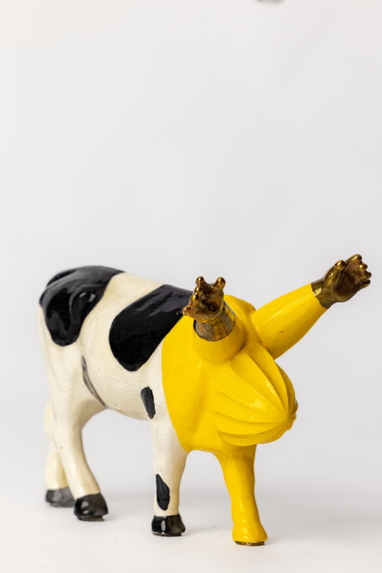 עיצוב ליאור קסם חממה