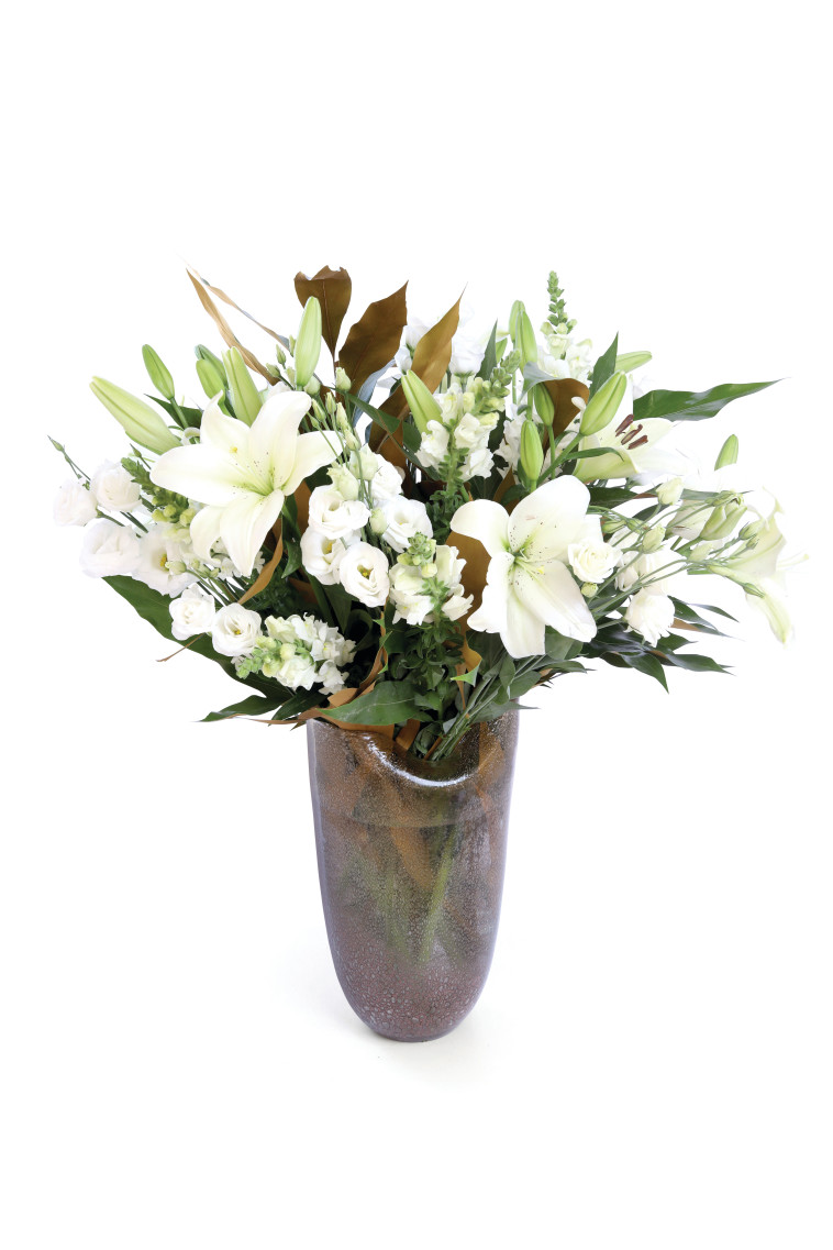 ZER4U זר נגיעות החורש