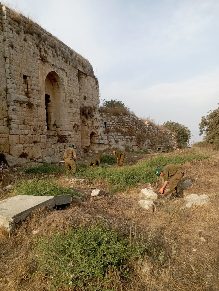 שיקום מצודת הונין  (צילום: דניאל אפק, צבא ההגנה לטבע והחברה להגנת הטבע)