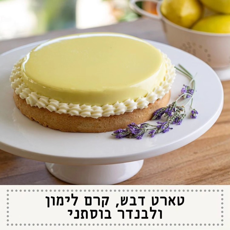 לילות ביירות טאטי בייקרי