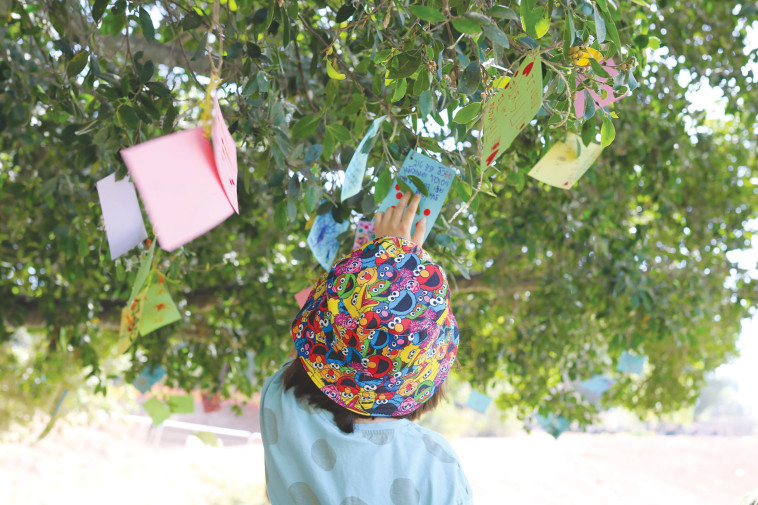 עץ המשאלות בגן לאומי תל אפק