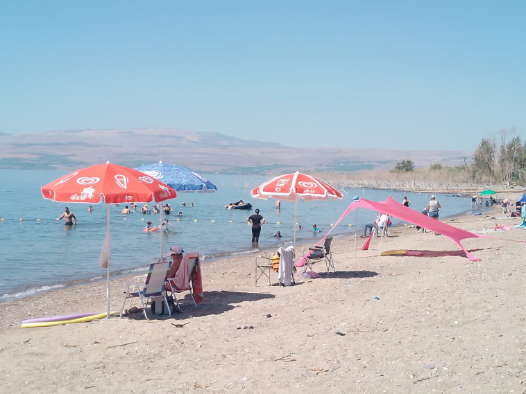 חוף כורסי בכנרת