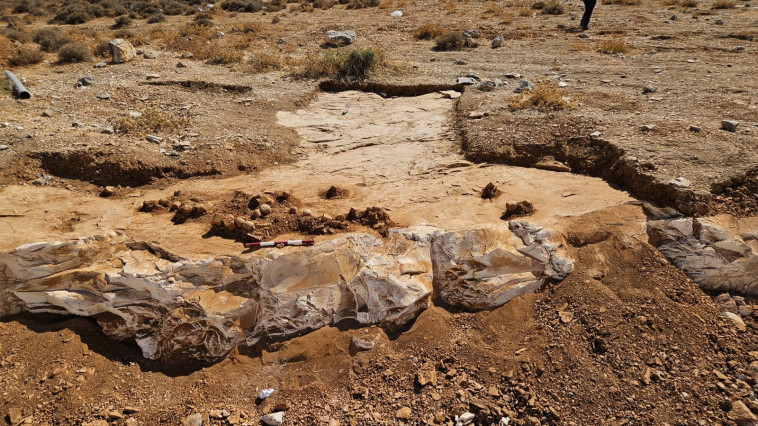 תגלית היסטורית 