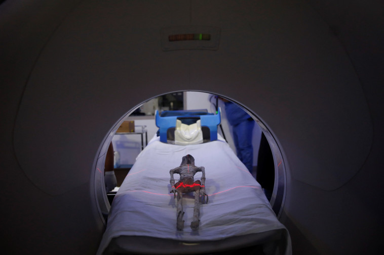 צוין כי אחד מבין השניים ''היה נראה בהריון''