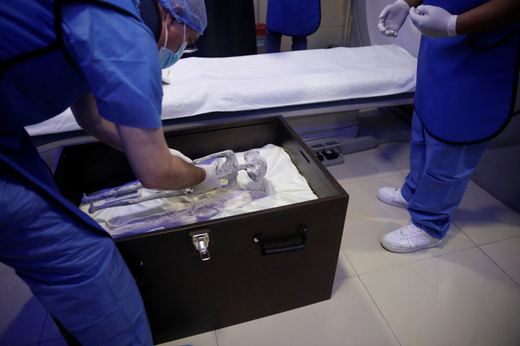 ''יצורים שאינם אנושיים''