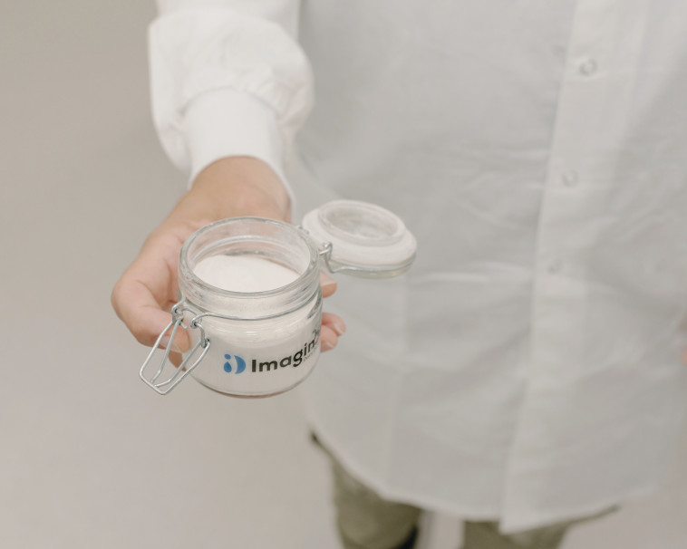 הפקת החלבון