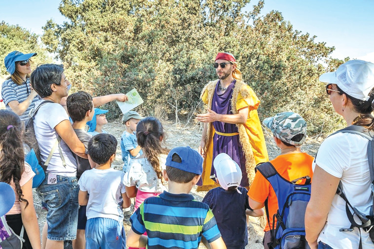 סוכות ברמת הנדיב (צילום: ידיד לוי)