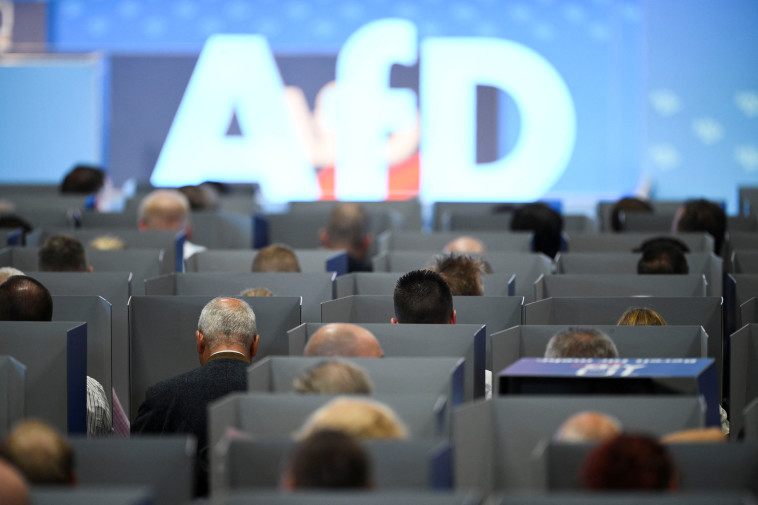 מפלגת ה-AfD (צילום: REUTERS/Annegret Hilse)