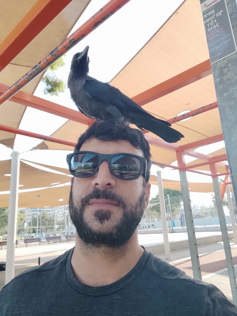 ההיתקלות עם העורב בפארק הירקון