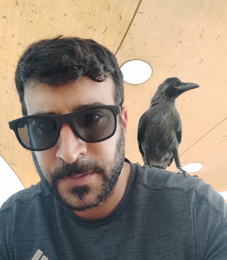 ההיתקלות עם העורב בפארק הירקון