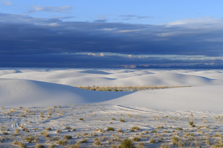 White Sands National Park, ניו מקסיקו