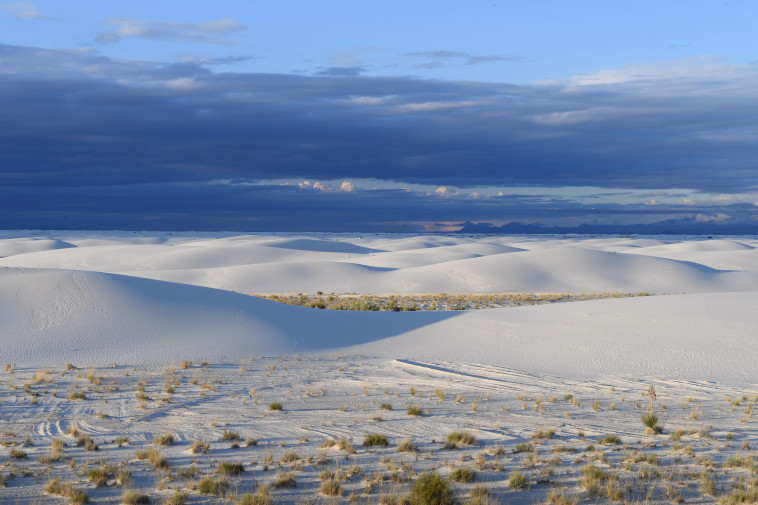White Sands National Park, ניו מקסיקו (צילום: REUTERS/Darren Ornitz)