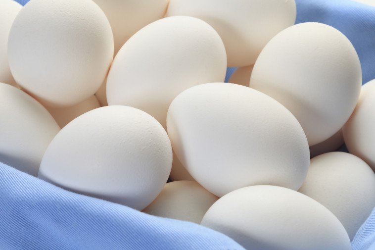 ביצים (צילום: אינג'אימג')