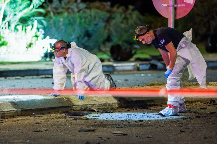 זירת החיסול בשפלה