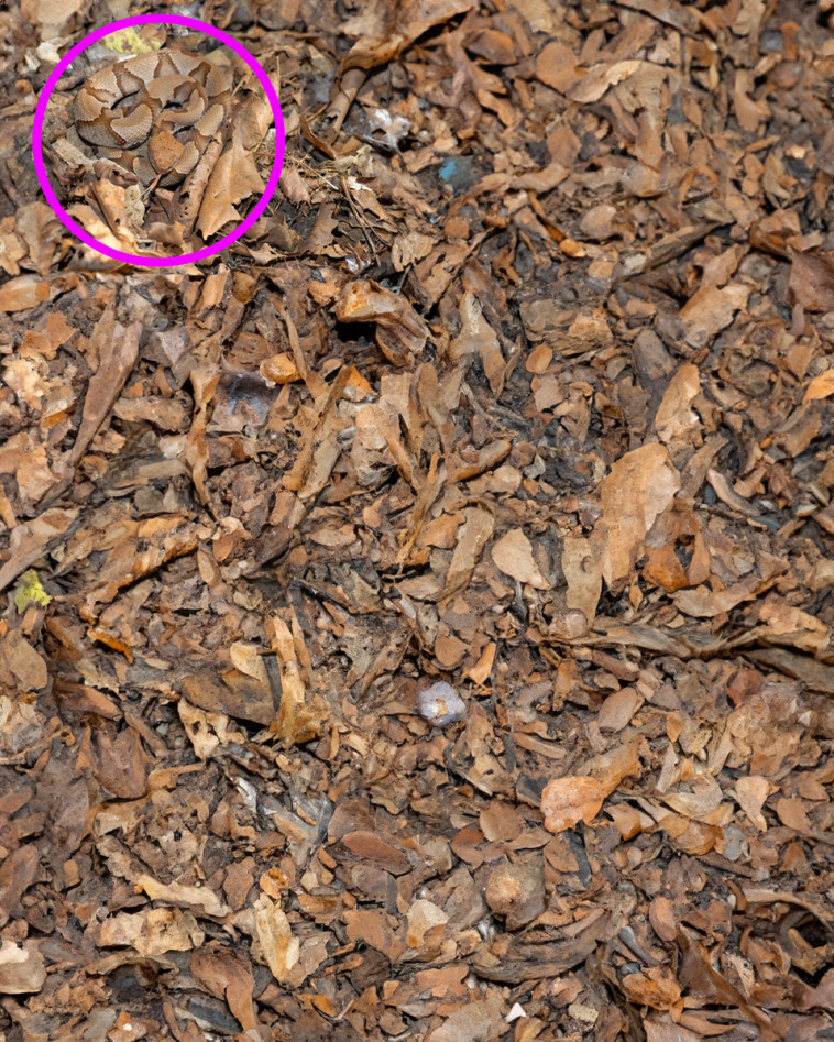 התשובה לפניכם