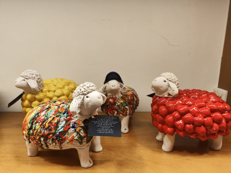 הכבשים של משה לוגסי (צילום: מאיה גז)