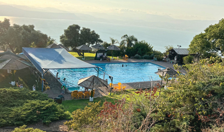 בריכת הקיבוץ מצפה השלום