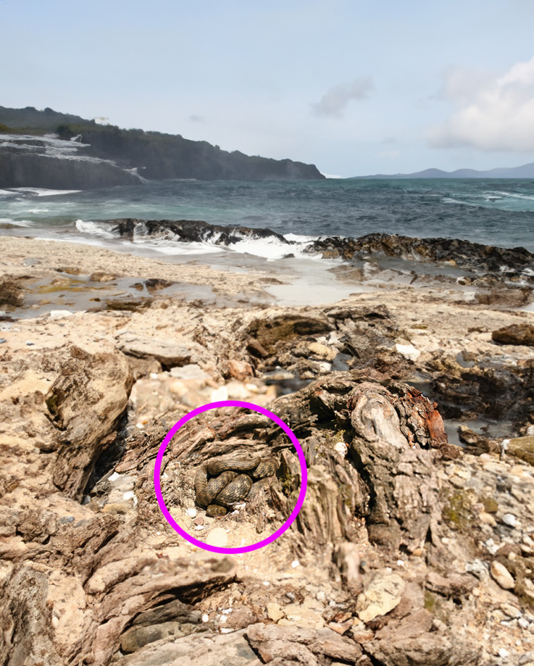 התשובה לפניכם