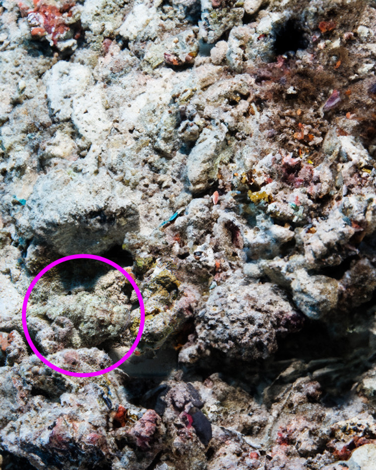 התשובה לפניכם