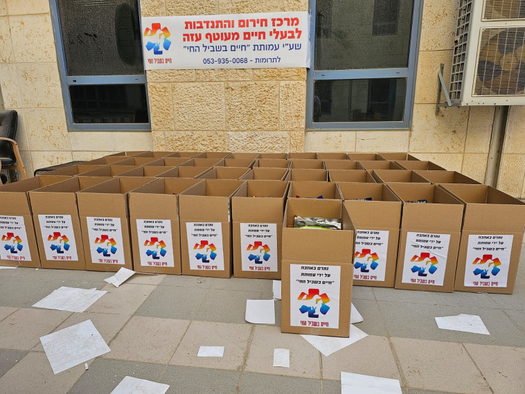 הרבה עזרה לניצולי הטבח, מעט עזרה לבעלי החיים שניצלו