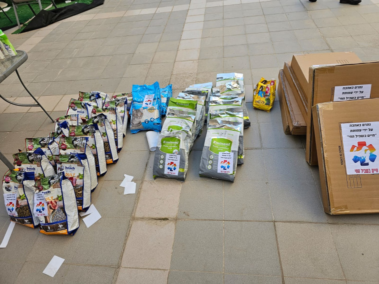 רבים מהכלבים חוו טראומה וזקוקים לסיוע דחוף שיוכלו לחזור לעצמם