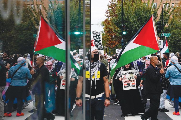 הפגנה פרו-פלסטינית בוושינגטון, ארה''ב (צילום: רויטרס)