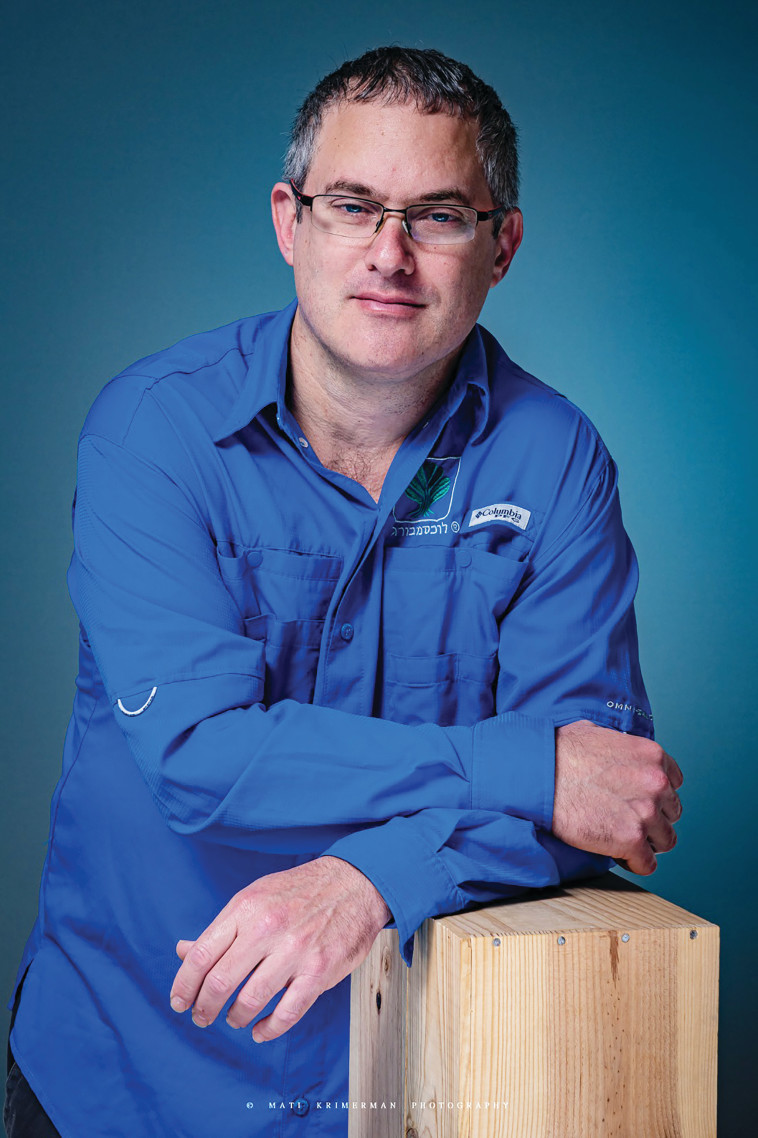 מעיין גולני 