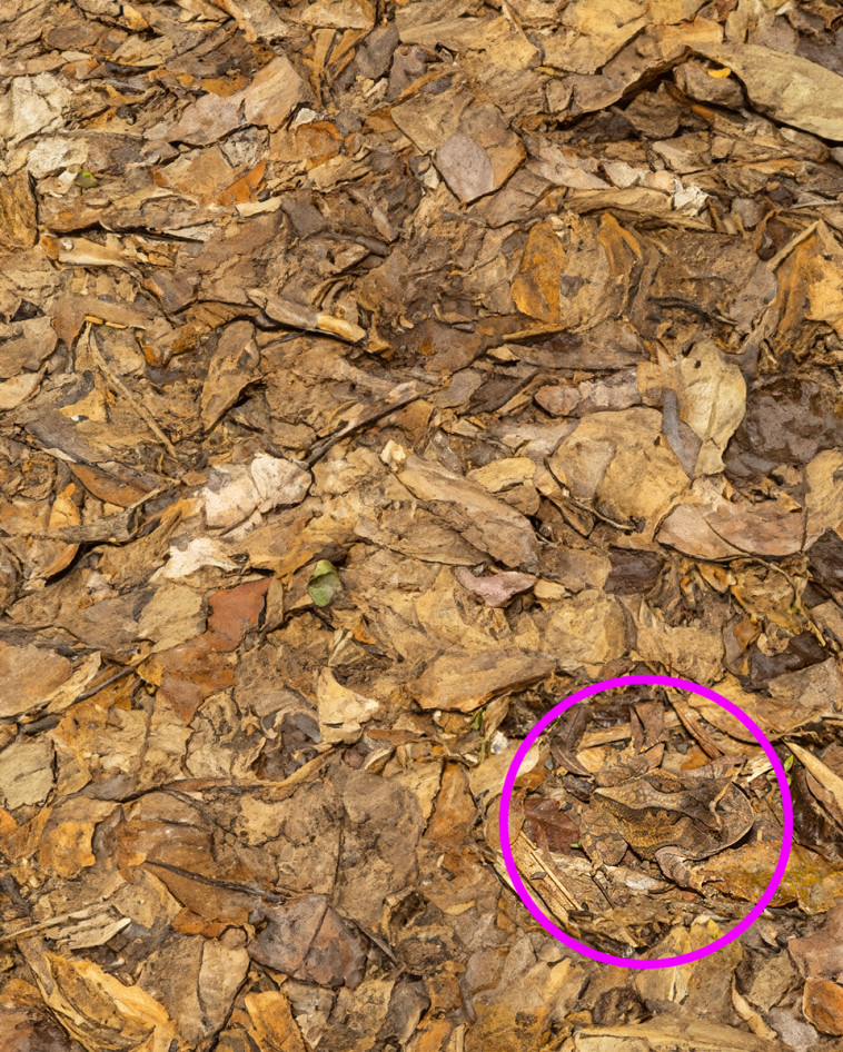 התשובה לפניכם