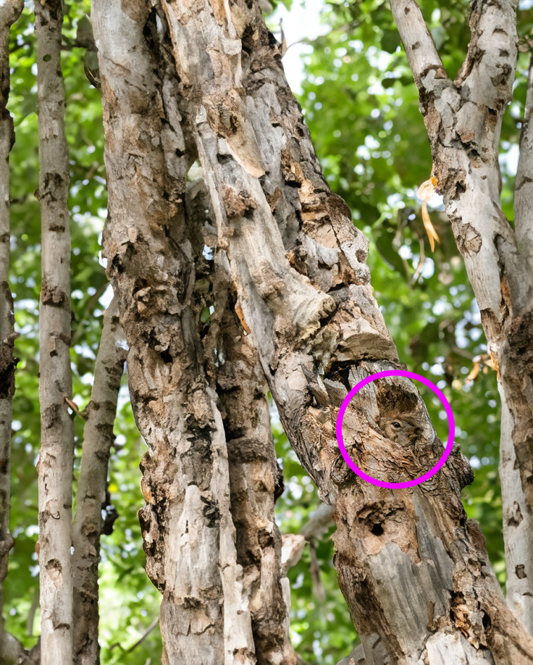 התשובה לפניכם