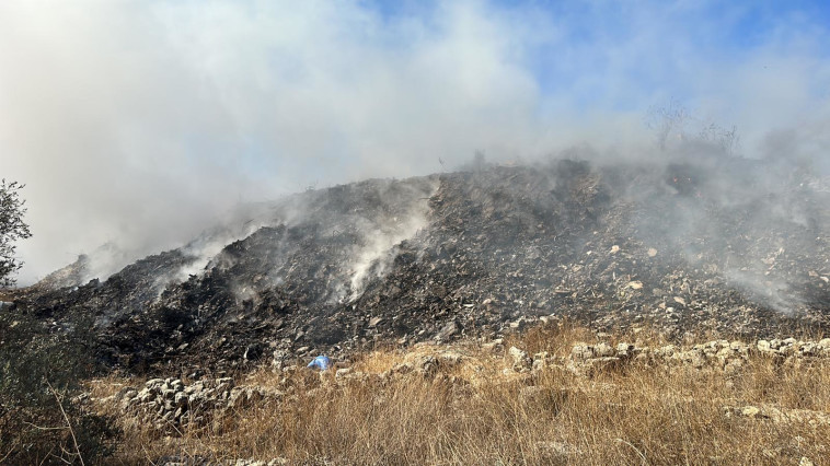 השריפה ברנתיס (צילום: המשרד להגנת הסביבה)
