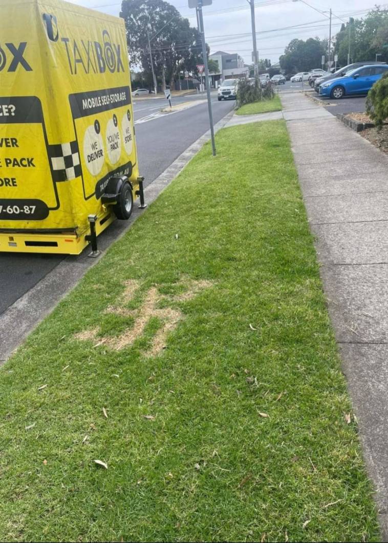 צלב קרס על דשא במלבורן, אוסטרליה