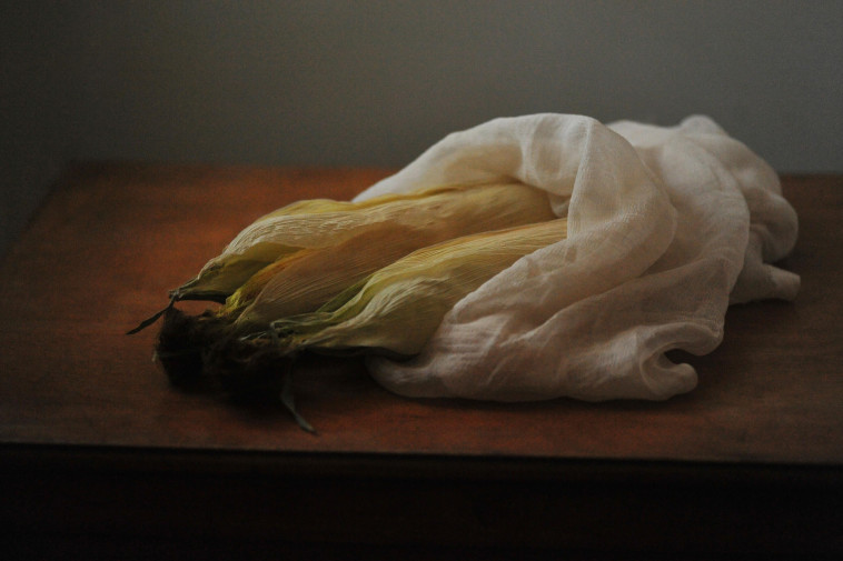 אסנת בן דב. תירסים