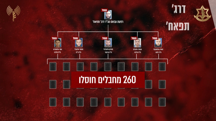 גדוד 'דראג תפאח'