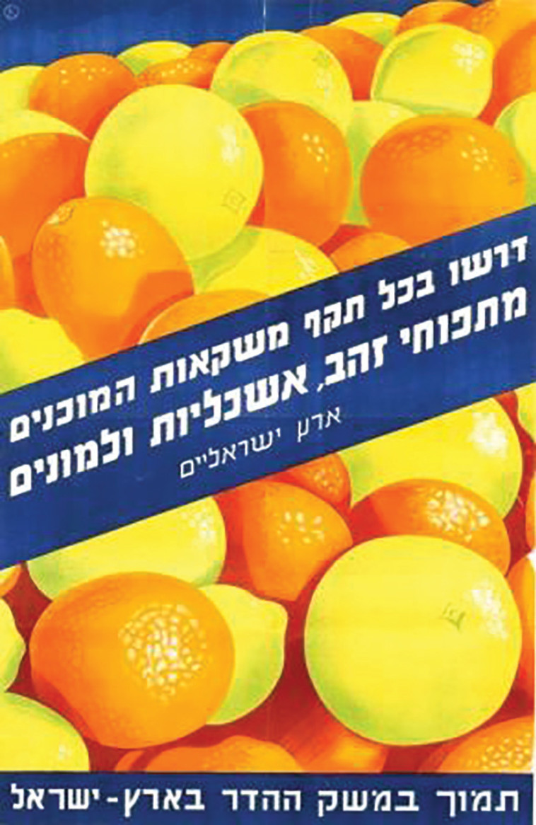 תוצרת הארץ