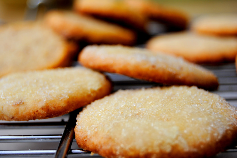 עוגיות שקדים וסוכר וניל (צילום: פסקל פרץ-רובין)