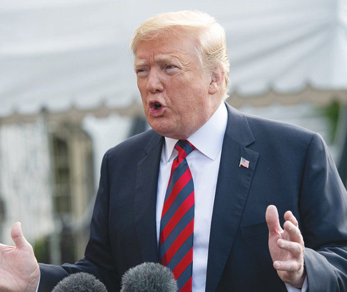 מתערב בבחירות? דונלד טראמפ, צילום: AFP