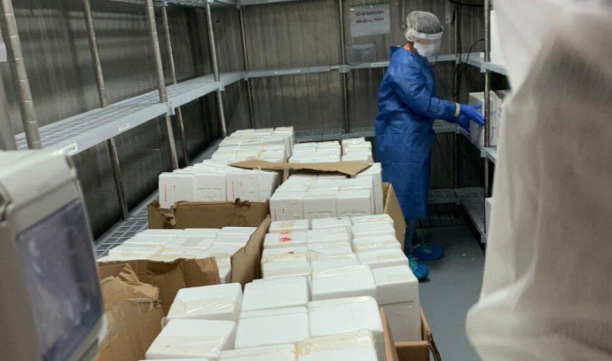 הבדיקות במכון ויצמן